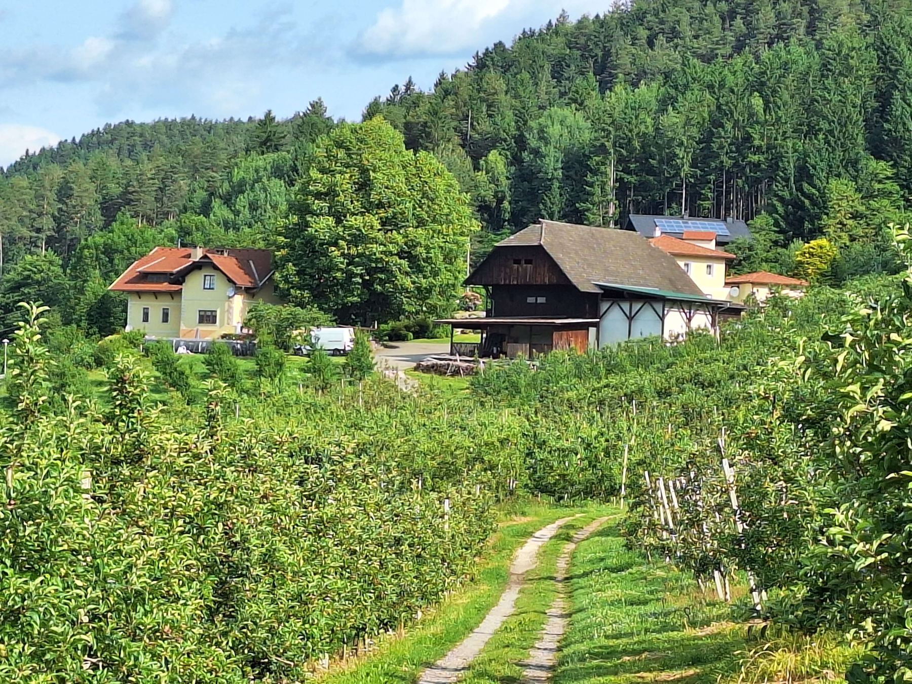 Der Hof der Familie Reichhalter in Tscheuritsch mit der Obstanlage